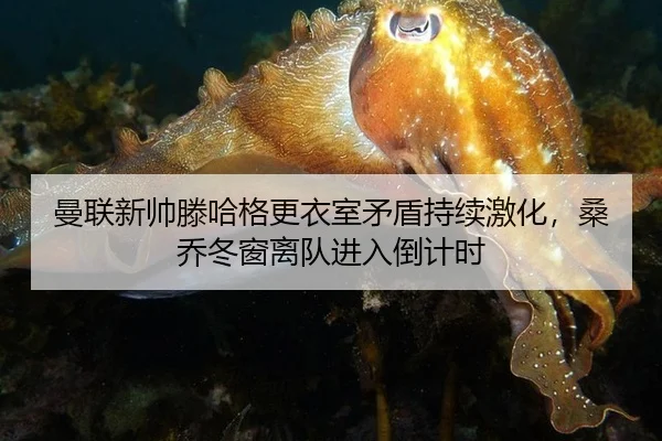 曼联新帅滕哈格更衣室矛盾持续激化，桑乔冬窗离队进入倒计时