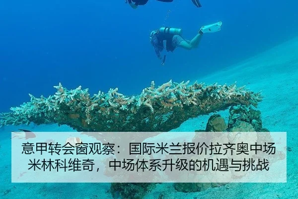 意甲转会窗观察：国际米兰报价拉齐奥中场米林科维奇，中场体系升级的机遇与挑战