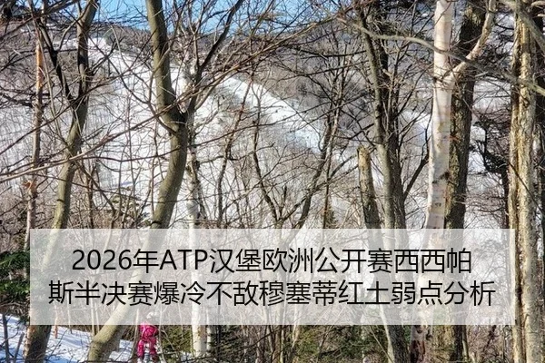 nian-han-bao-ou-zhou-gong-kai-sai-xi-xi-pa-si-ban-jue-sai-bao-leng-bu-di-mu-sai-di-hong-tu-ruo-dian-fen-xi-2-349.jpg